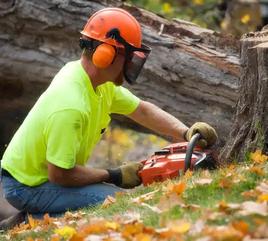 tree services Accokeek